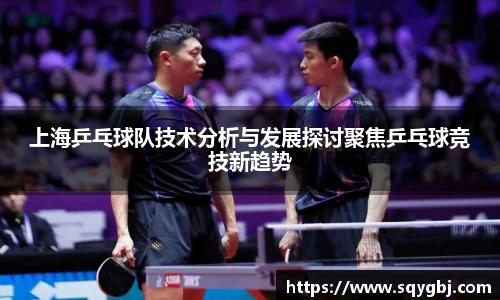 上海乒乓球队技术分析与发展探讨聚焦乒乓球竞技新趋势